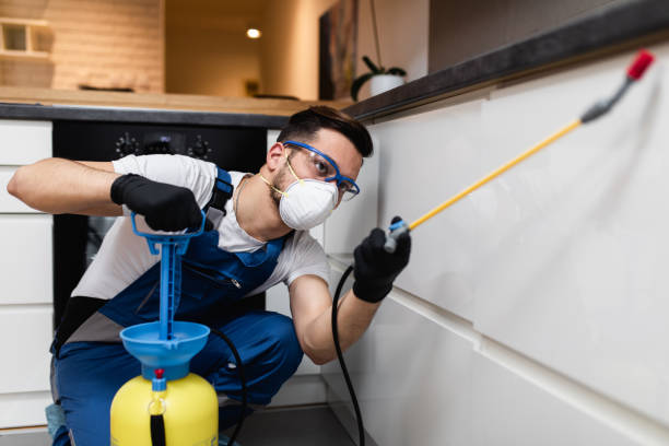 Best Pest Removal Services  in Philomath, OR