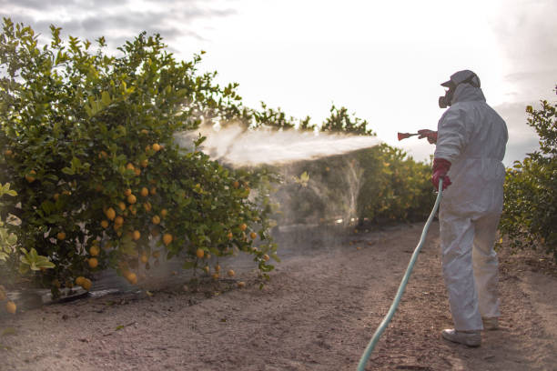 Best Best Pest Control Near Me  in Philomath, OR