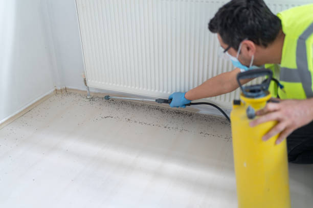 Best Spider Control Near Me  in Philomath, OR